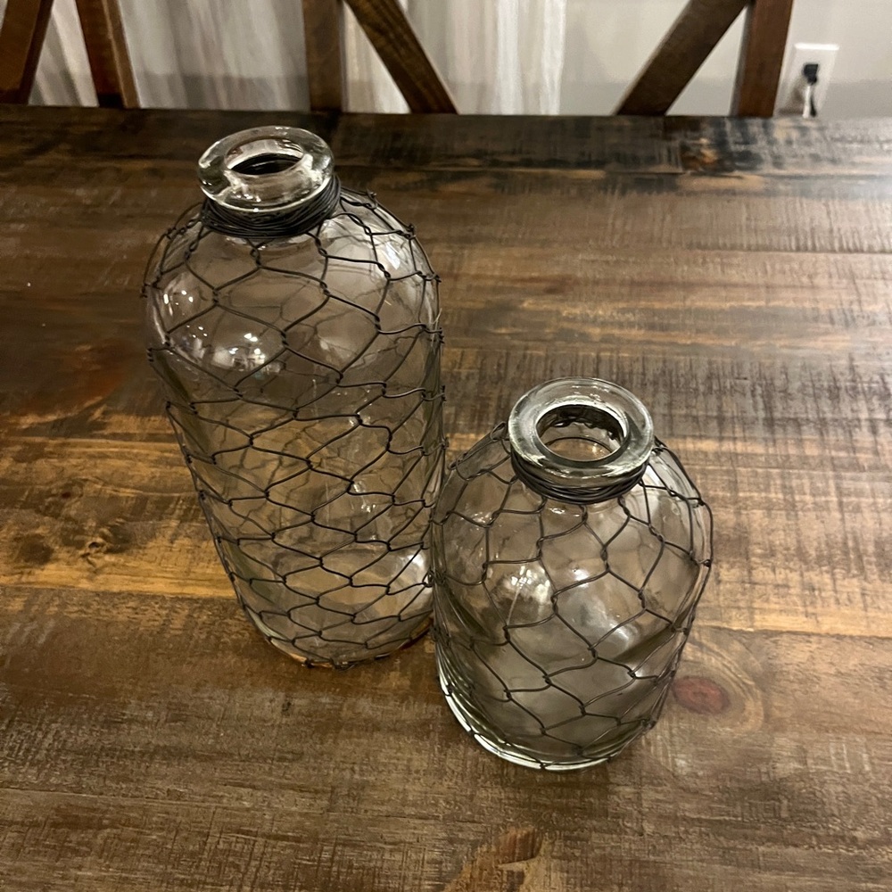 2 Chicken Wire Glass Rustic Vases Farmhouse Cottage Core Ralph Lauren - Picture 2 of 3